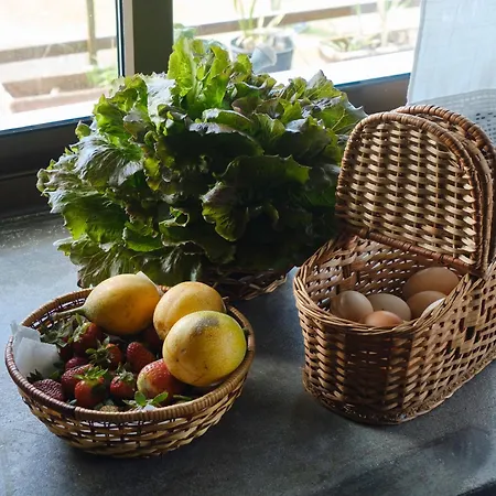 Casa Hortencias By Azoresrent Tatil Evi Farroupo