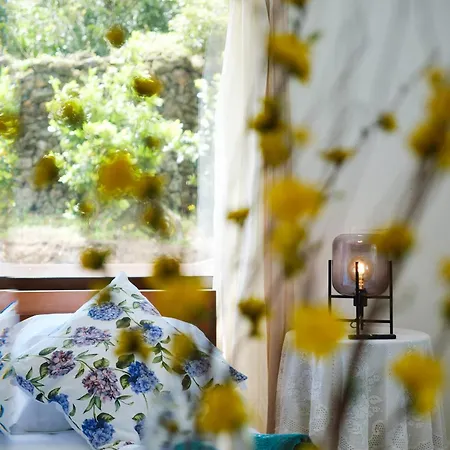 Tatil Evi Casa Hortencias By Azoresrent