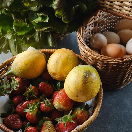 Casa Hortencias By Azoresrent * Farroupo