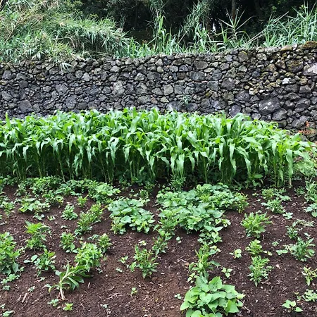Prázdninový dům Casa Hortencias By Azoresrent